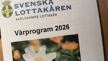 Bild på tryckta programmets framsida