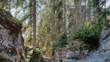 En tidigare vandring vid Kungens sal