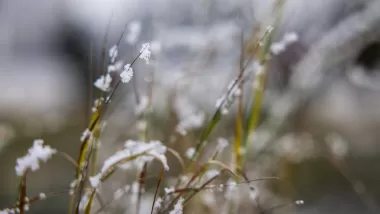 vi_verkar_i_alla_vader