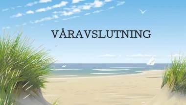 bild på en strand och hav