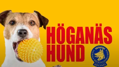 Brukshundsklubben 2025