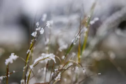 vi_verkar_i_alla_vader