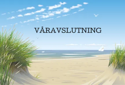 bild på en strand och hav