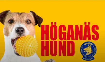 Brukshundsklubben 2025