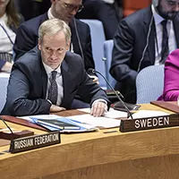 Olof Skoog, FN ambassadör